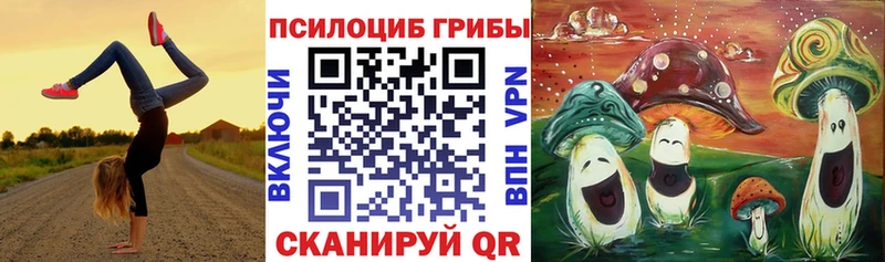 Галлюциногенные грибы GOLDEN TEACHER  как найти закладки  Бабаево 