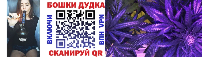 Конопля конопля Бабаево